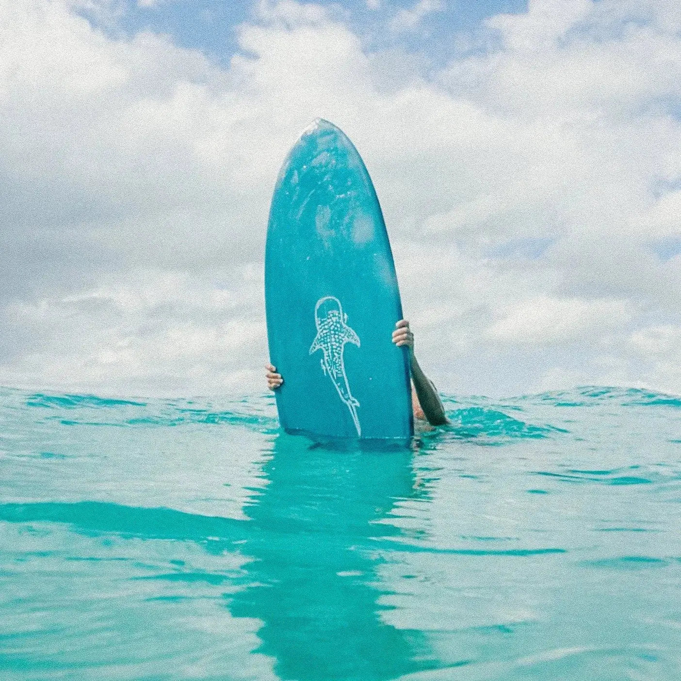 Sophie Fletcher Stickers - Small Landscape BOARDSOX®