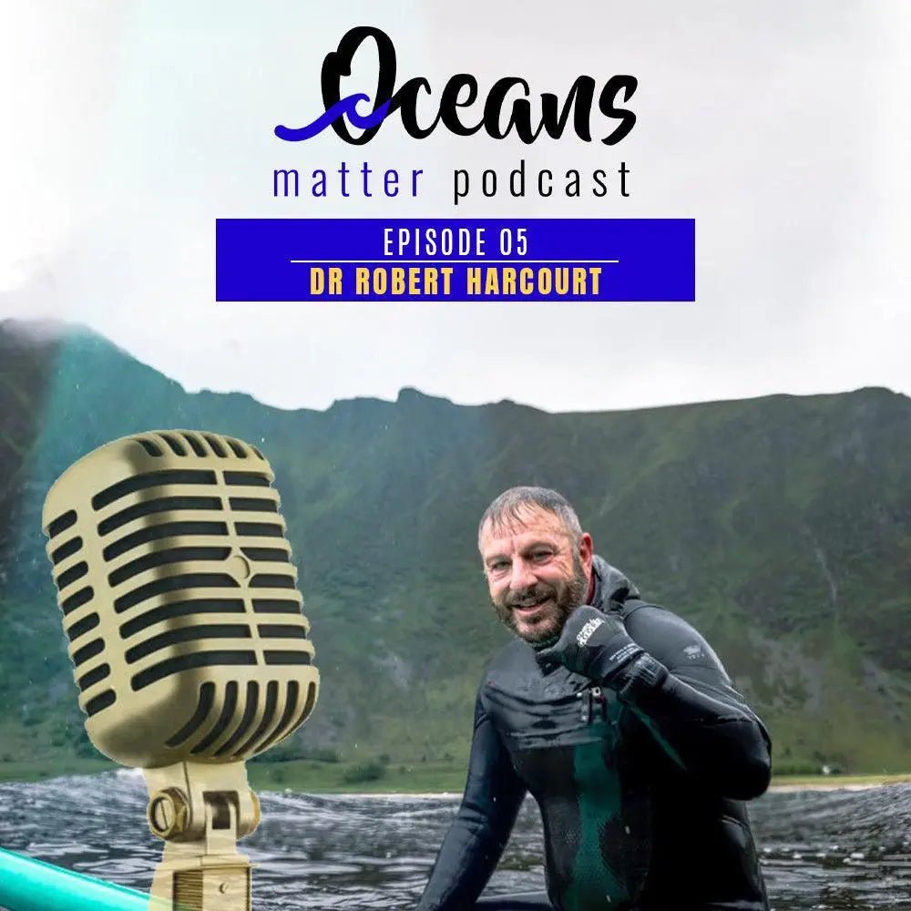 OCEANS MATTER  PODCAST 5 - DR ROBERT HARCOURT